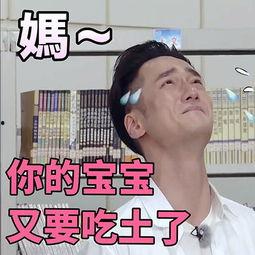 娱乐吃瓜表情图片大全集,带你领略网络搞笑瞬间