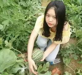 落梦楠娱乐吃瓜,揭秘娱乐圈最新吃瓜事件