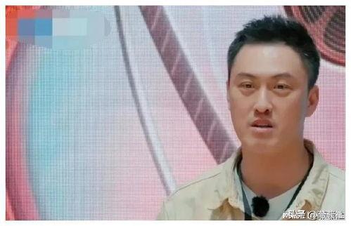 娱乐圈吃瓜爆料写字的是谁,揭秘“吃瓜爆料”背后的神秘人物